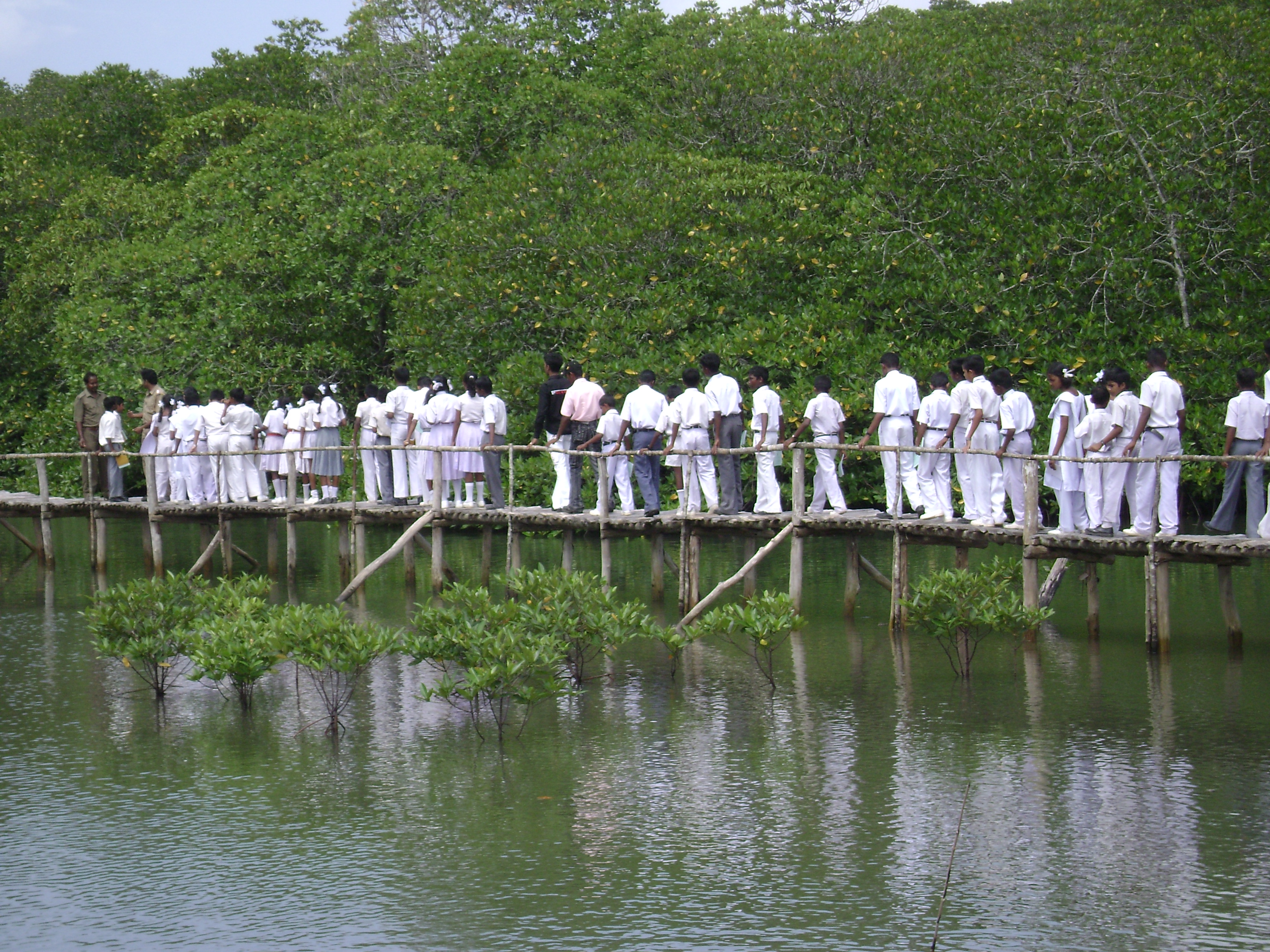 Nature Study Tour